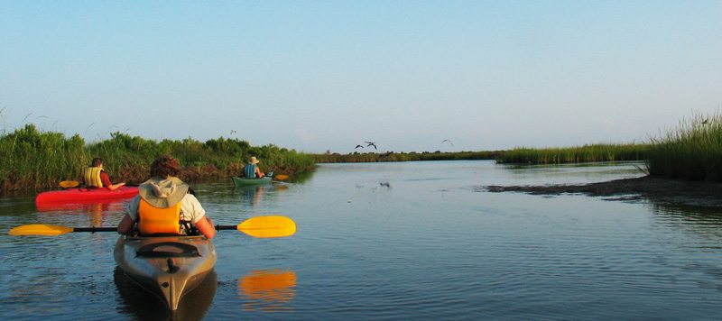 hatteras-kayak-tour-kitty-hawk-kites