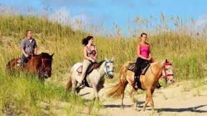 hatteras-horseback-riding-adventure